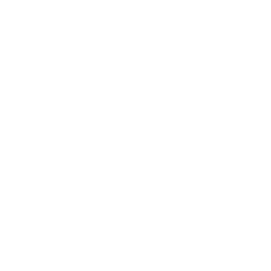 Blue Import BIM Oy